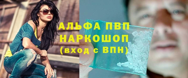 ешки Алексин