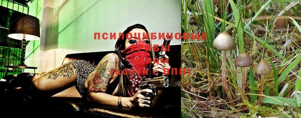 ешки Алексин