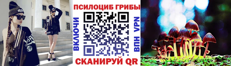 Псилоцибиновые грибы ЛСД  omg рабочий сайт  Полтавская 
